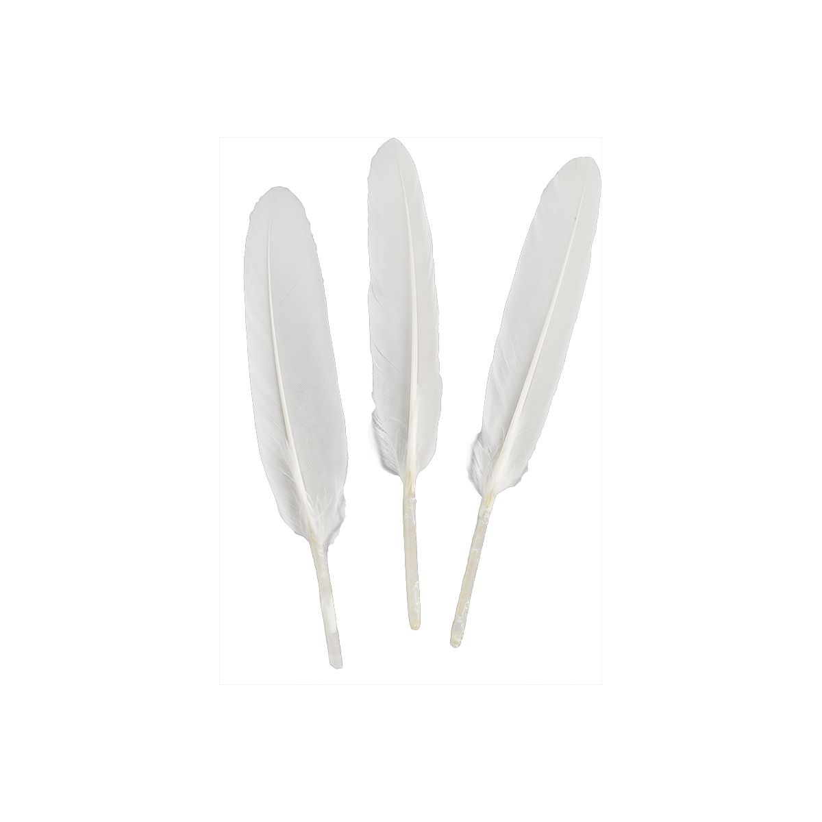 Piórka Craft-Fun Series białe 50 szt Titanum (lotki)