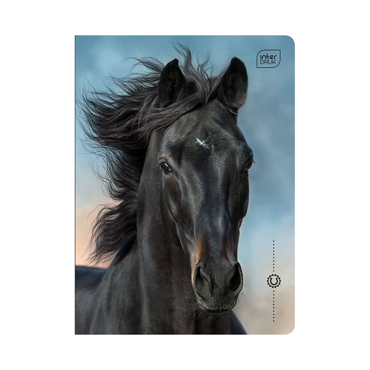 Zeszyt WILD HORSES A5 16k. 70g linia kolor Interdruk