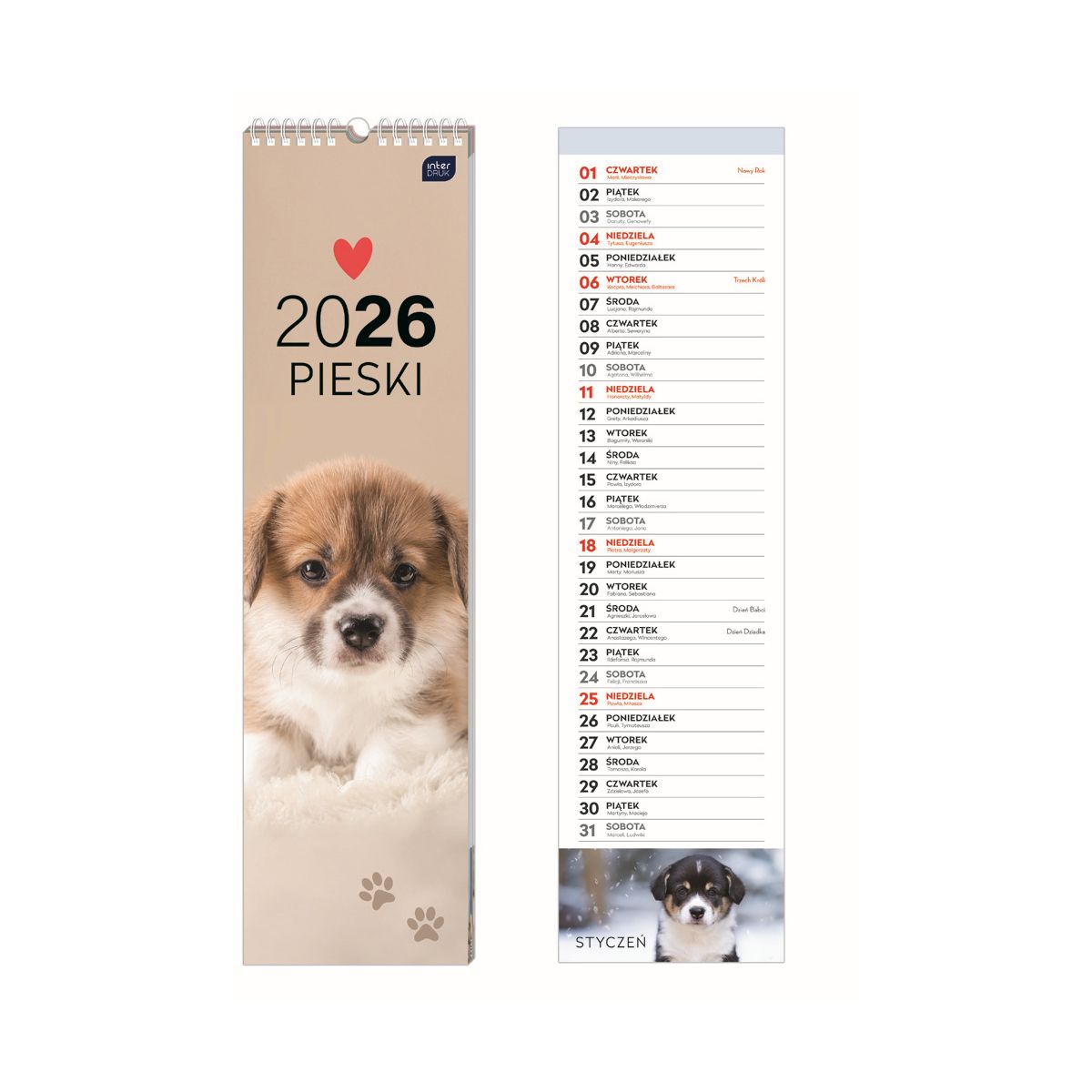 Kalendarz ścienny paskowy 135mm x 500mm Interdruk (PSY)