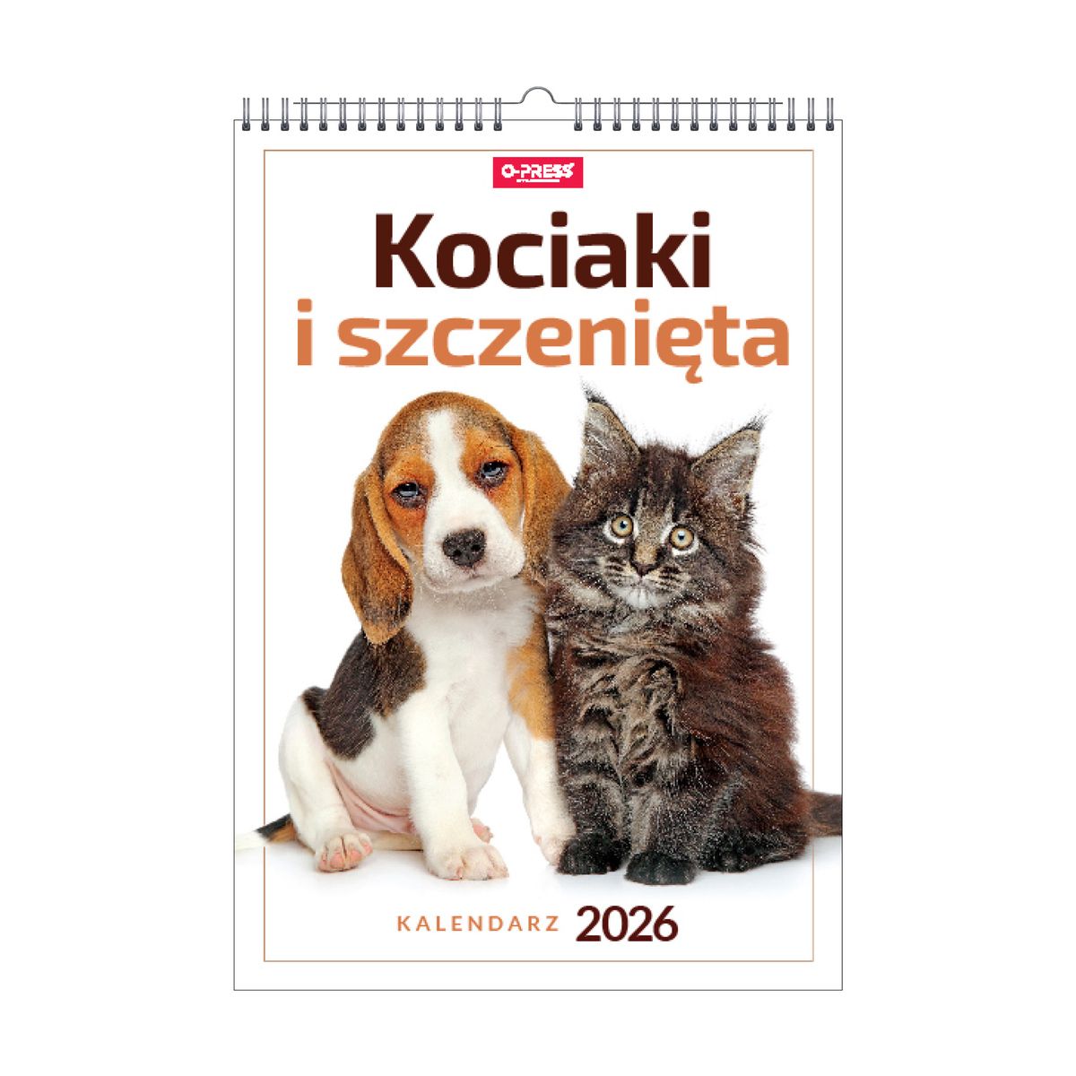 Kalendarz ścienny (401000) k:2915-377 16  stron wieloplanszowy A3 Press (kociaki i szczeniaki)