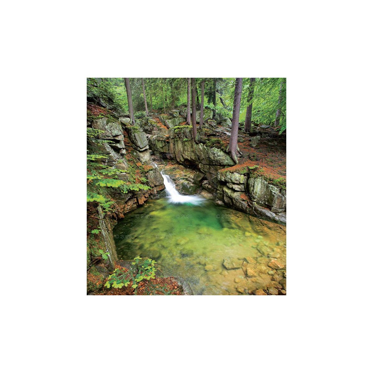Kalendarz ścienny MAGICZNA POLSKA 13-planszowe 2024 320mm x 470mm Lucrum (RW02)
