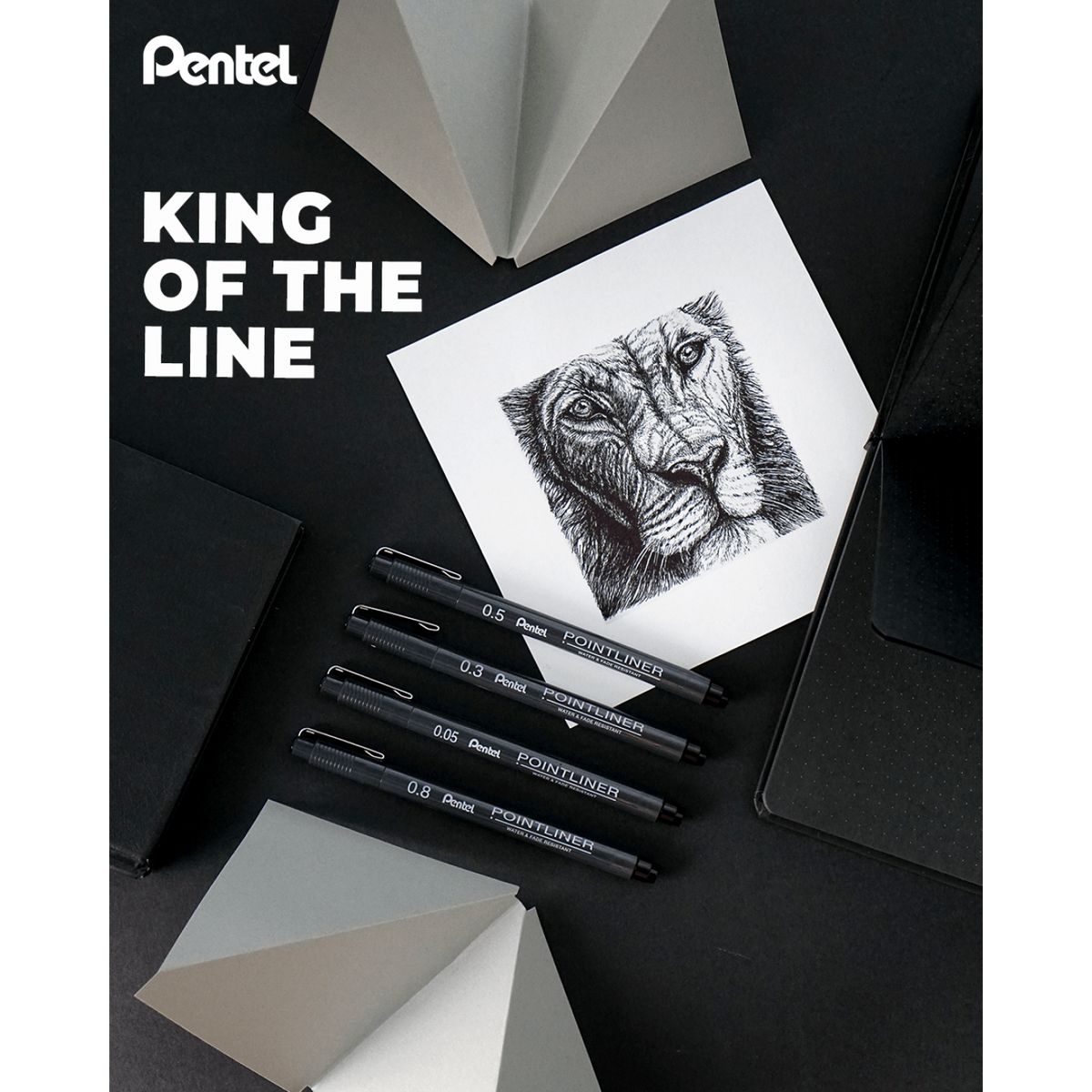 Cienkopis Pentel POINTLINER, czarne mixmm 1kol. (XBLW355C)