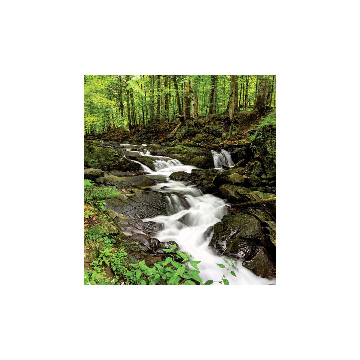 Kalendarz ścienny MAGICZNA POLSKA 13-planszowe 2024 320mm x 470mm Lucrum (RW02)