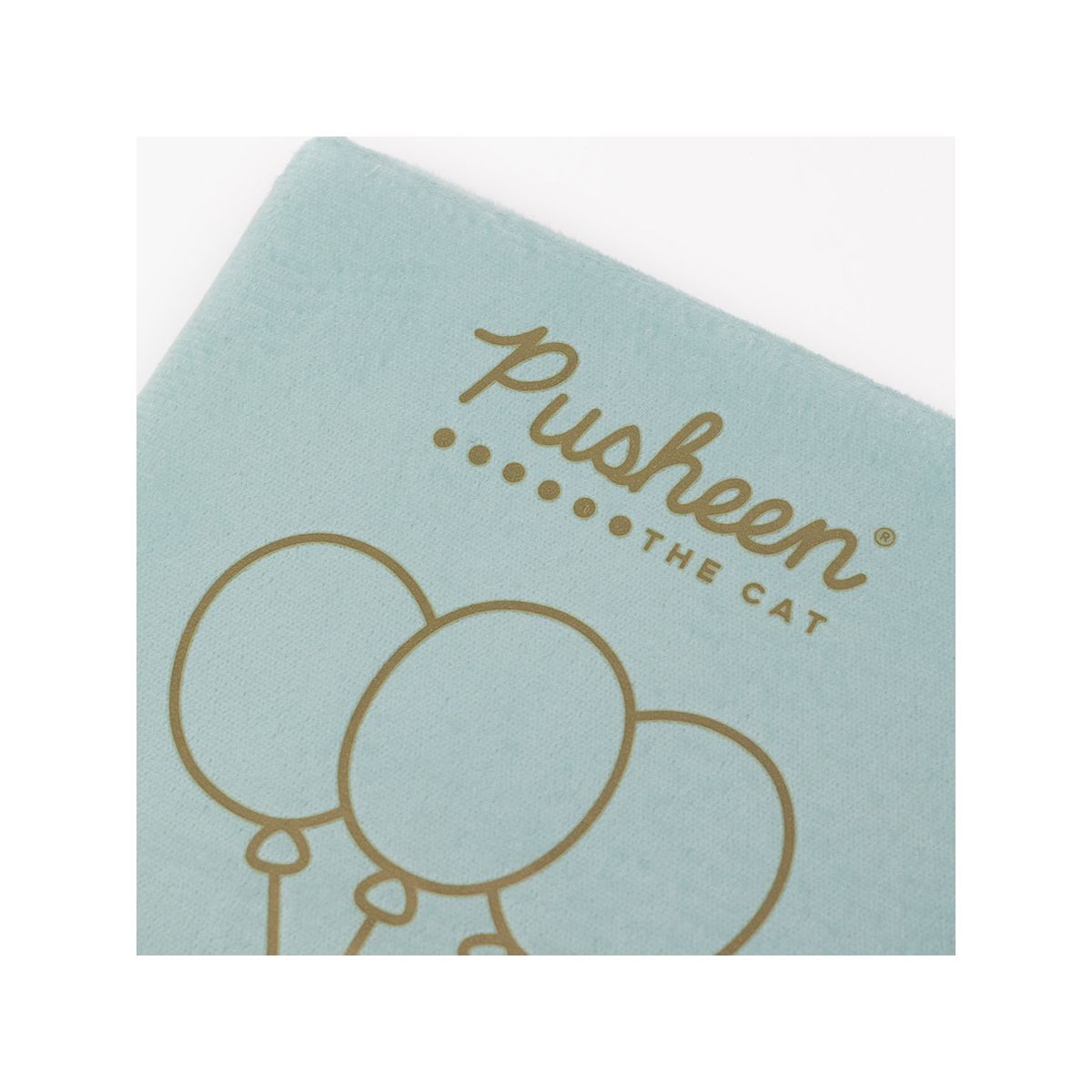 Notes (notatnik) Pusheen A5 Unipap