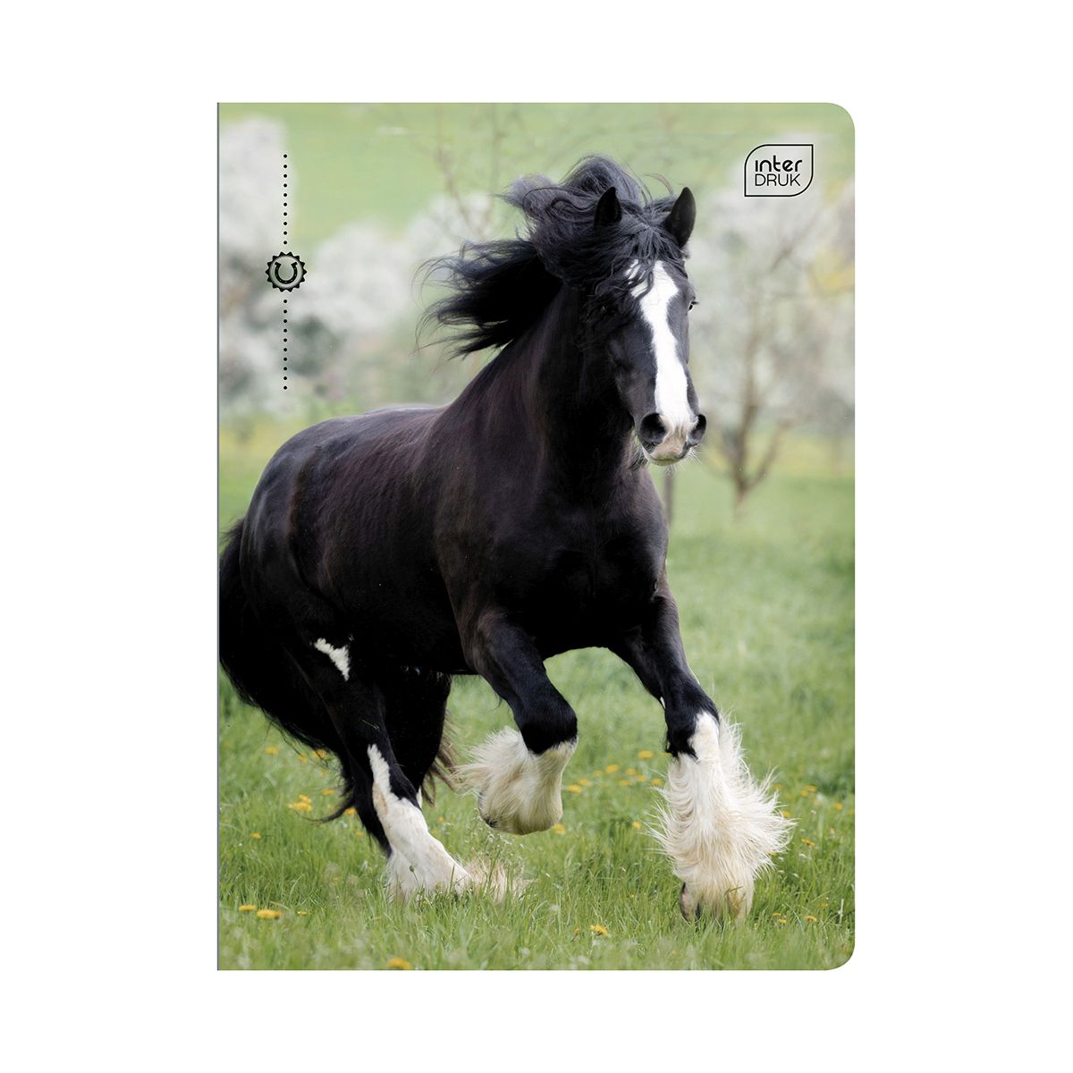 Zeszyt A5 32k. 70g trzy linie Interdruk