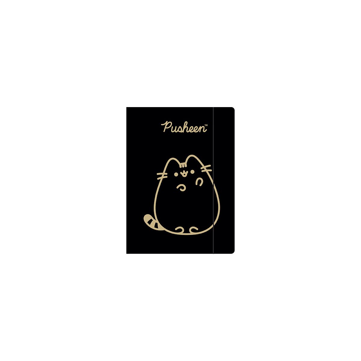 Teczka kartonowa na gumkę Pusheen gold A4 różne 300g Unipap