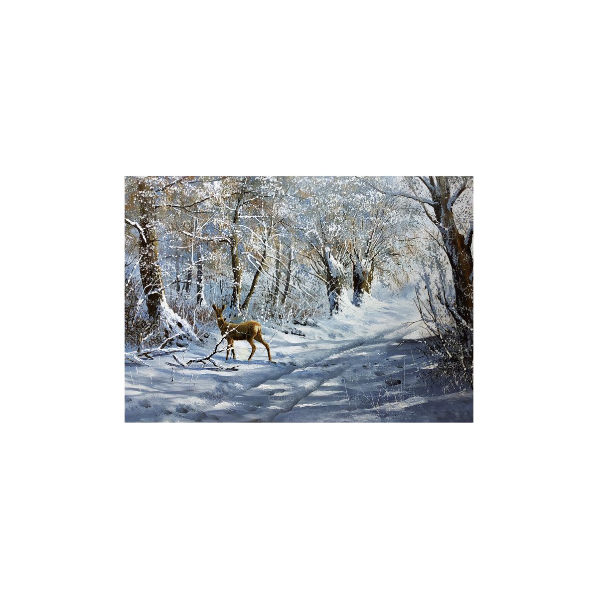 Kalendarz ścienny POLSKIE ZAKĄTKI rodzinny 2026 280mm x 400mm Lucrum (WL06)