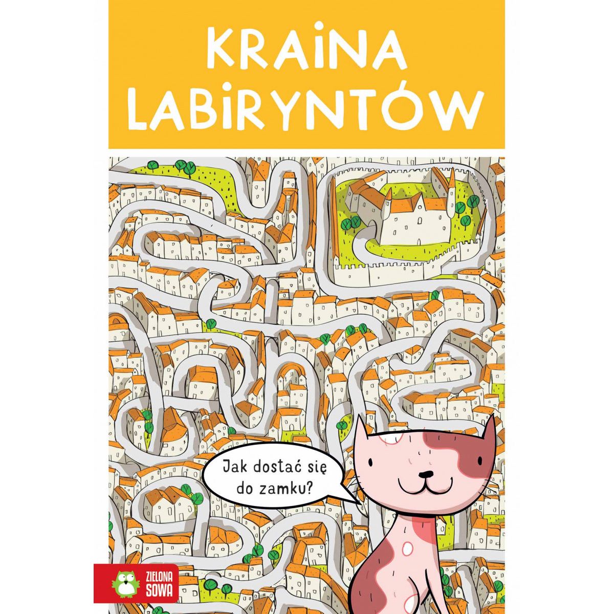 Książeczka edukacyjna Kraina labiryntów Zielona Sowa