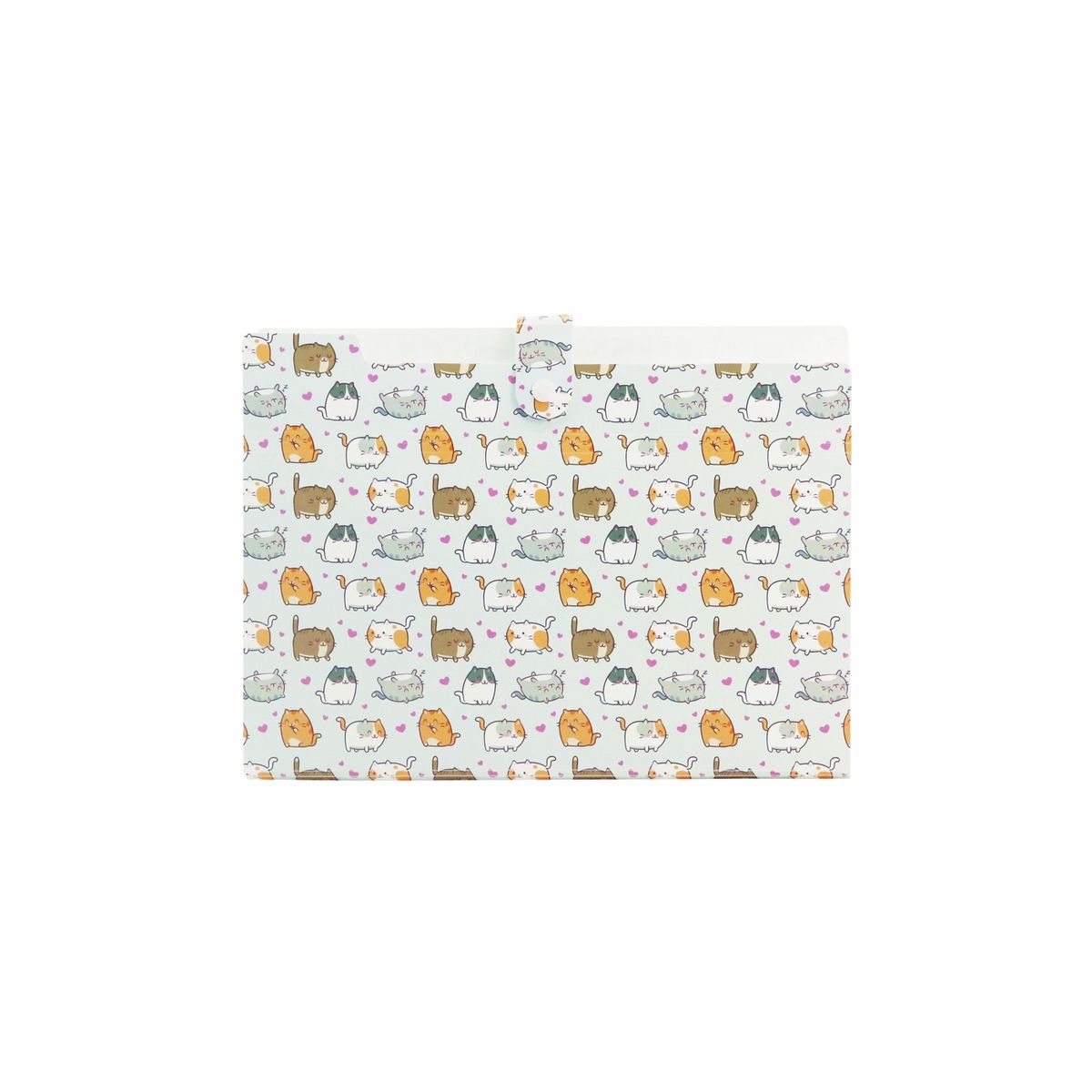 Teczka z przegródkami KITTENS A4 kolor: mix 5 przegródek Biurfol (THN-A4-35)