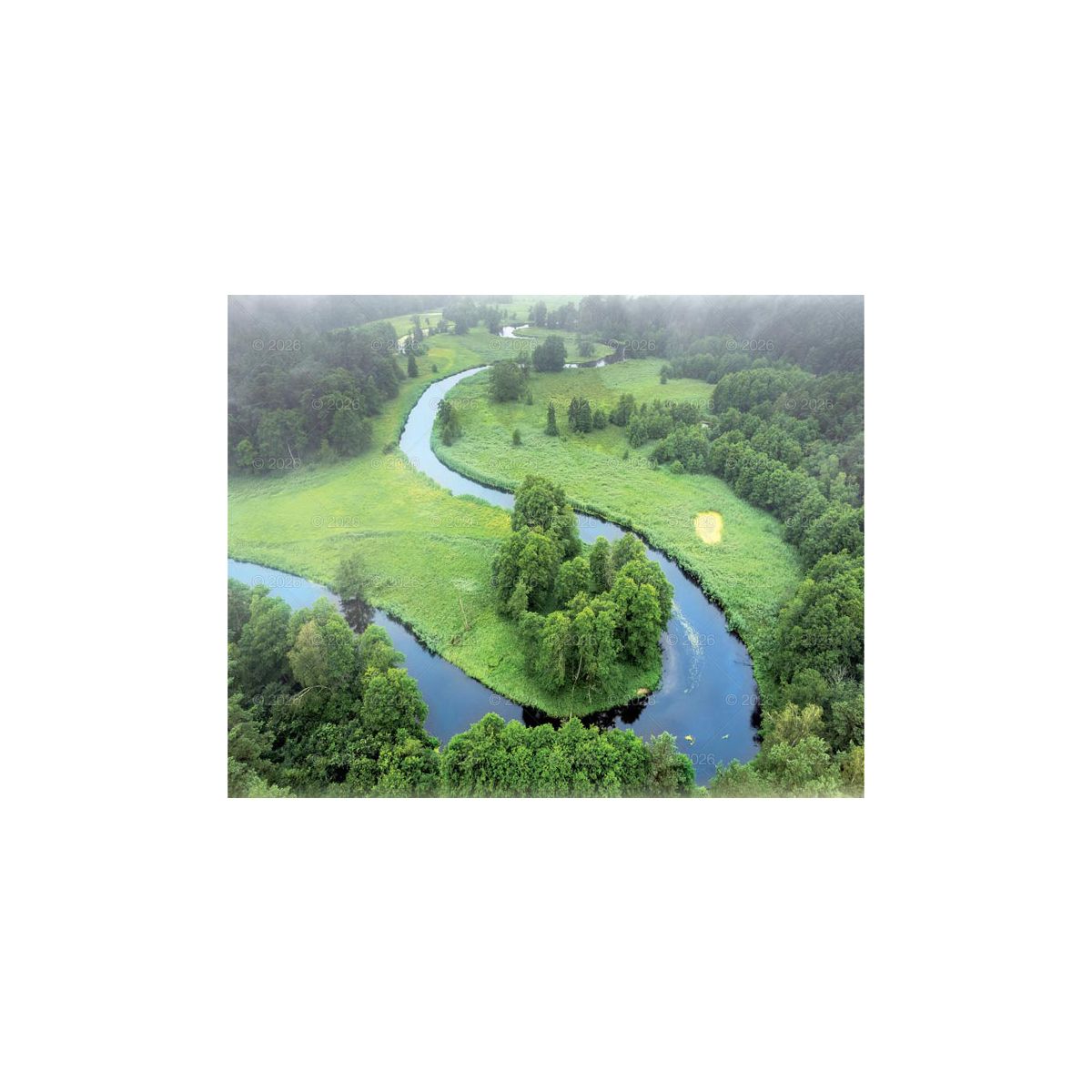 Kalendarz ścienny LASY POLSKIE 13-planszowe 2024 320mm x 470mm Lucrum (RW04)
