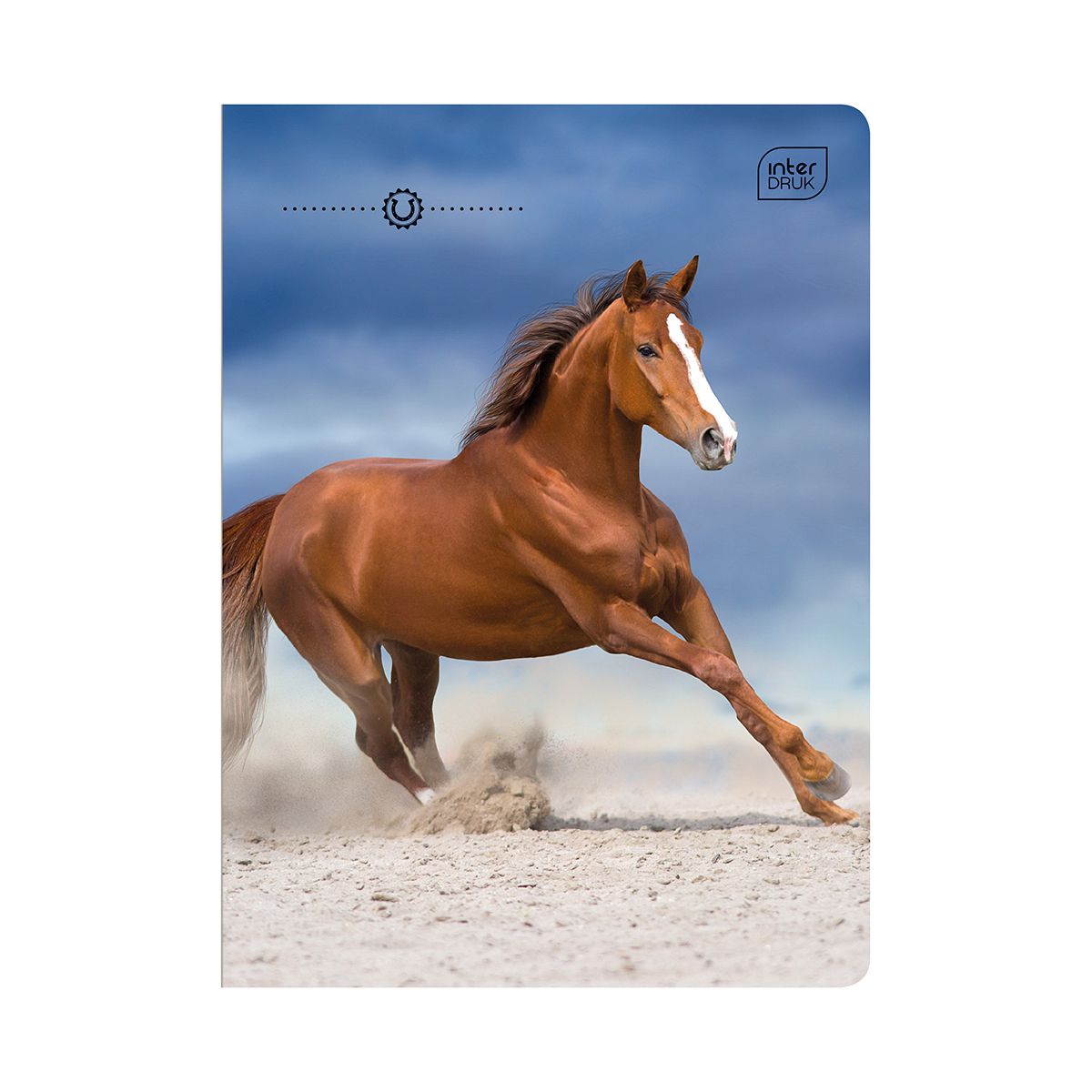 Zeszyt WILD HORSES A5 16k. 70g linia kolor Interdruk