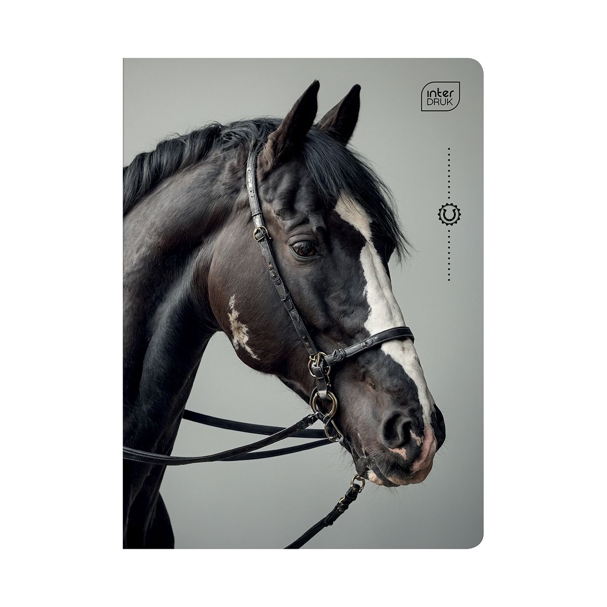 Zeszyt WILD HORSES A5 32k. 70g krata Interdruk