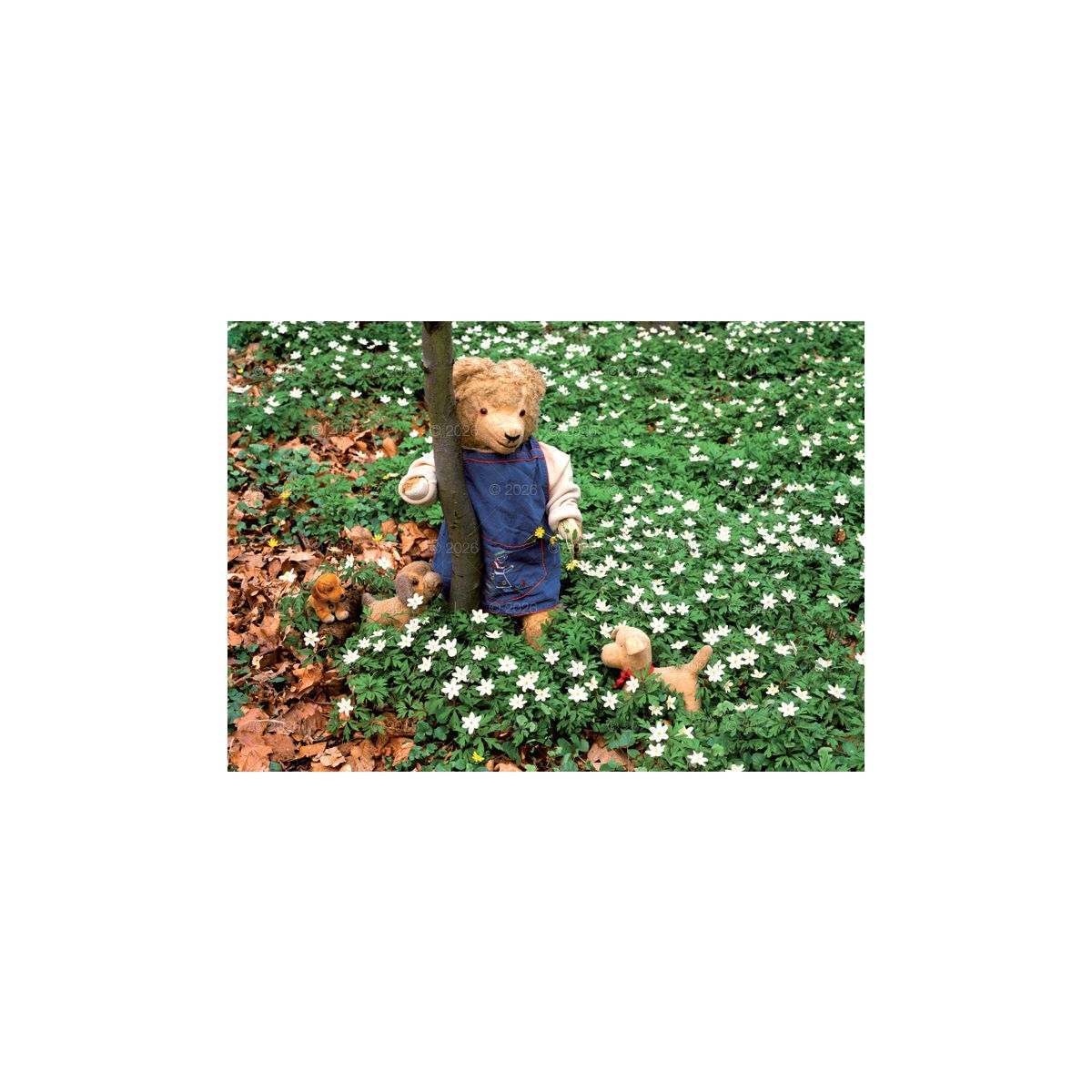 Kalendarz ścienny MISIE rodzinny 280mm x 200mm Lucrum (WL11)