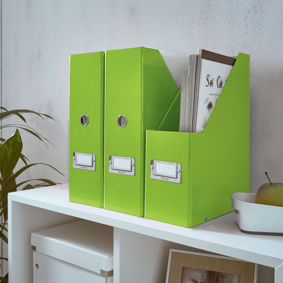 Pojemnik na dokumenty pionowy Click & Store zielony karton pokryty folią Leitz (60470054)