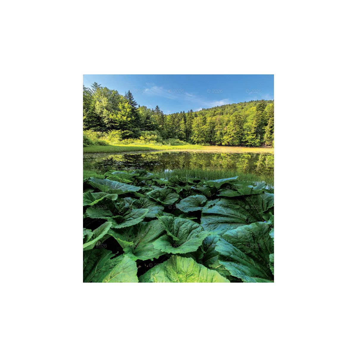 Kalendarz ścienny MAGICZNA POLSKA 13-planszowe 2024 320mm x 470mm Lucrum (RW02)