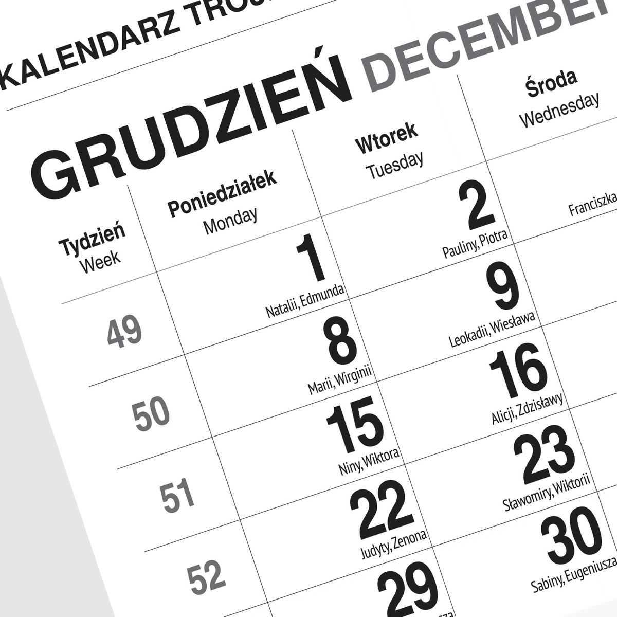 Kalendarz ścienny (401000) k:2915-377 GÓRY 310mm x 790mm Press