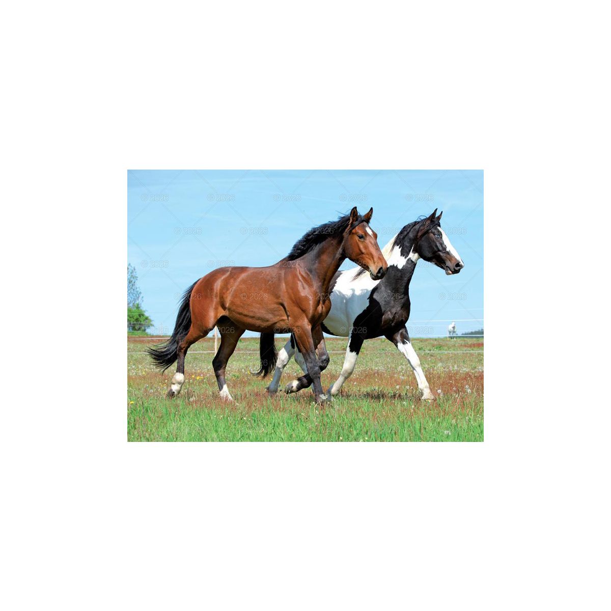 Kalendarz ścienny 13-planszowe 320mm x 470mm Lucrum (RW14)