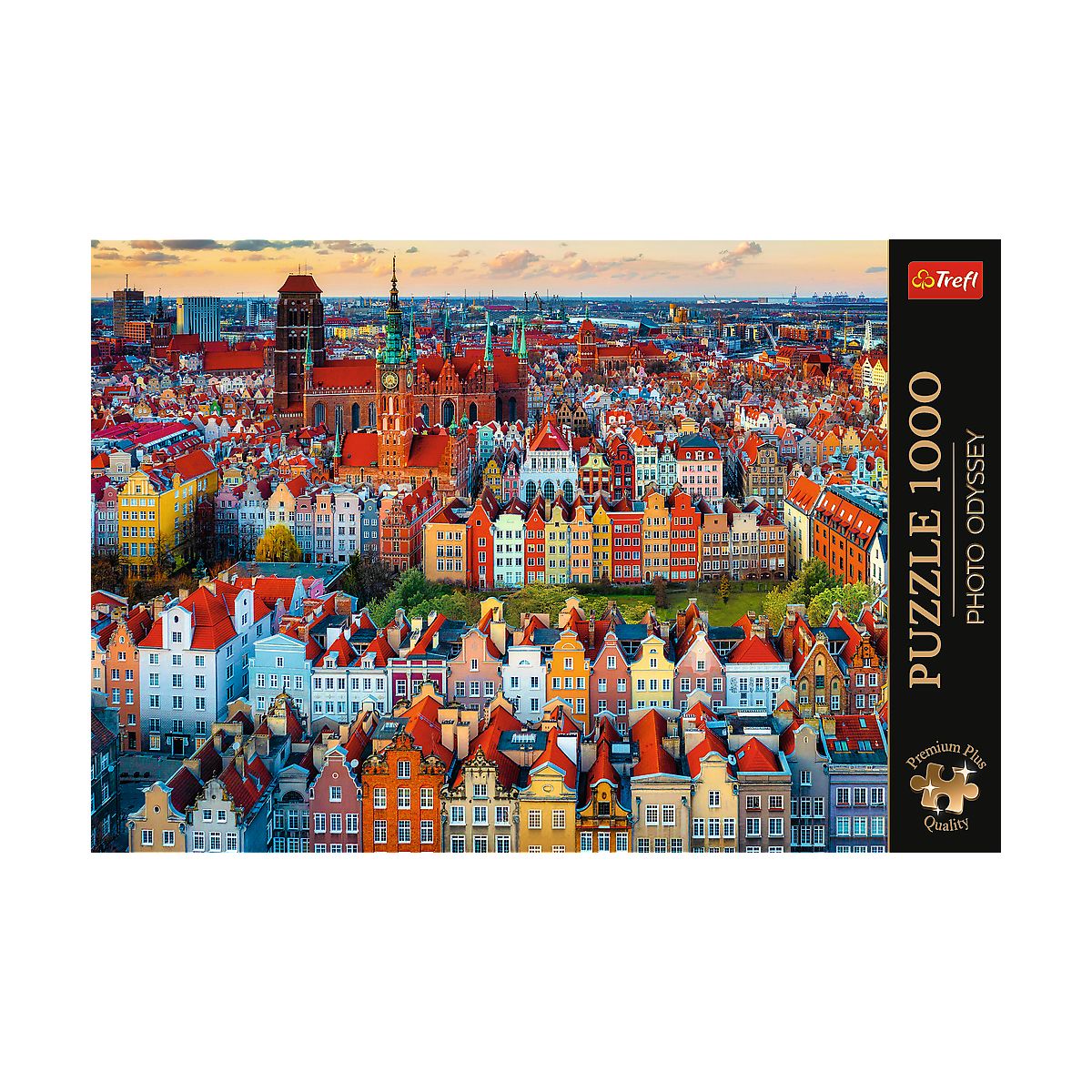 Puzzle Trefl Premium Plus Widok na Gdańsk 1000 el. (10856)