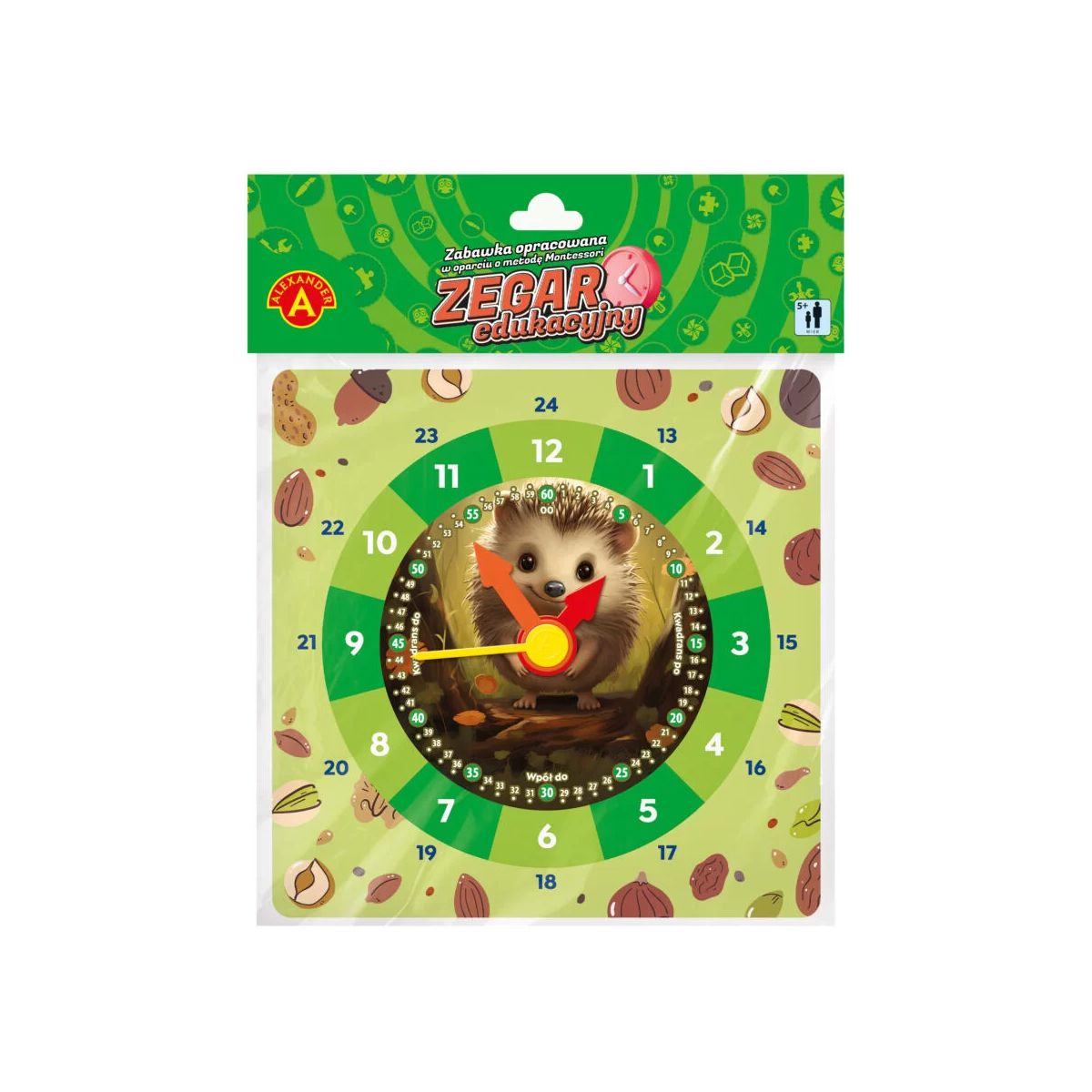 Zegarek jeż Alexander