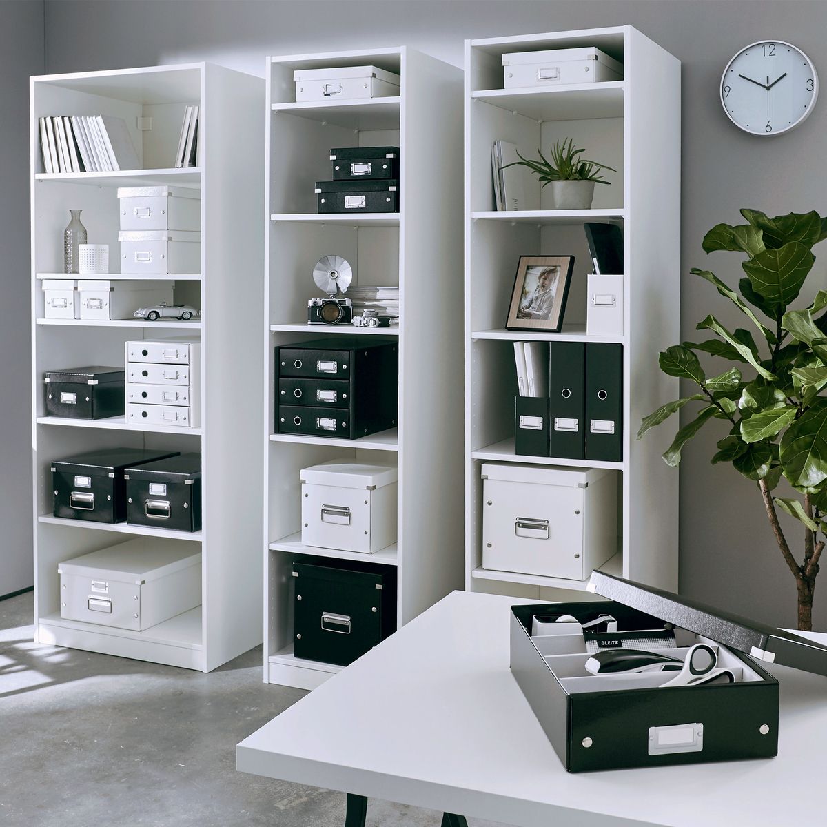 Pojemnik na dokumenty pionowy Click & Store zielony karton pokryty folią Leitz (60470054)