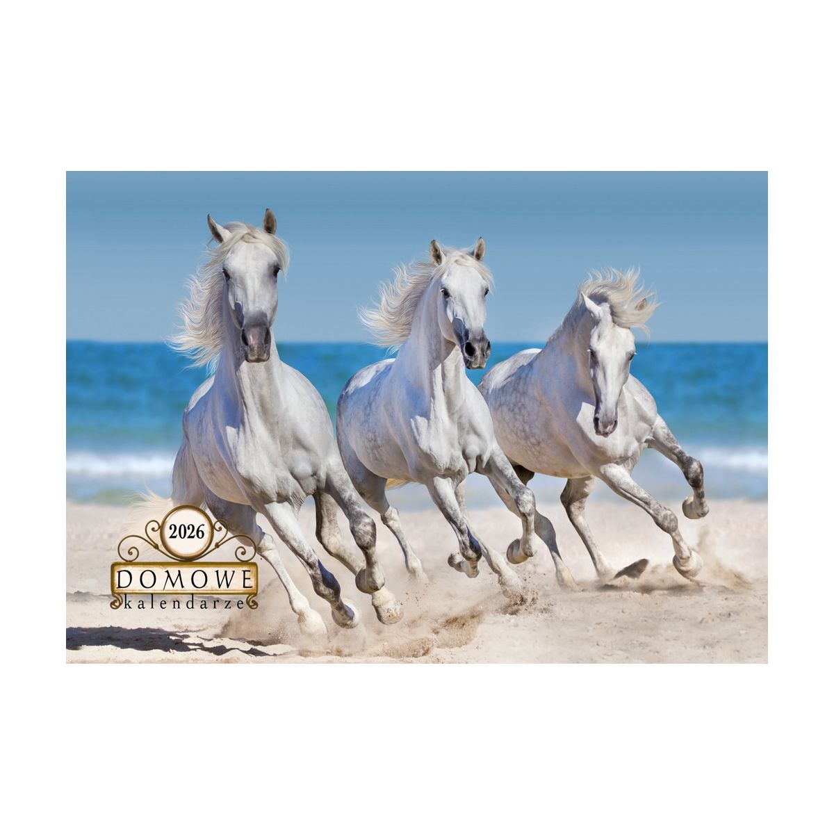 Kalendarz ścienny wieloplanszowy 200mm x 280mm Michalczyk i Prokop (TW-10-6)