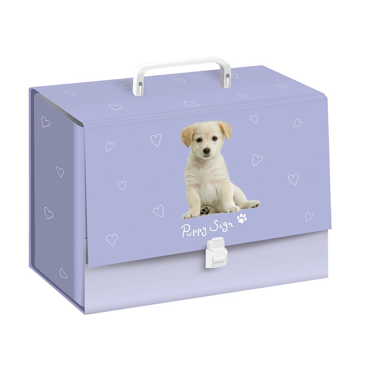 Teczka kartonowa Puppy Sign z rączką Bebe (C4/10)