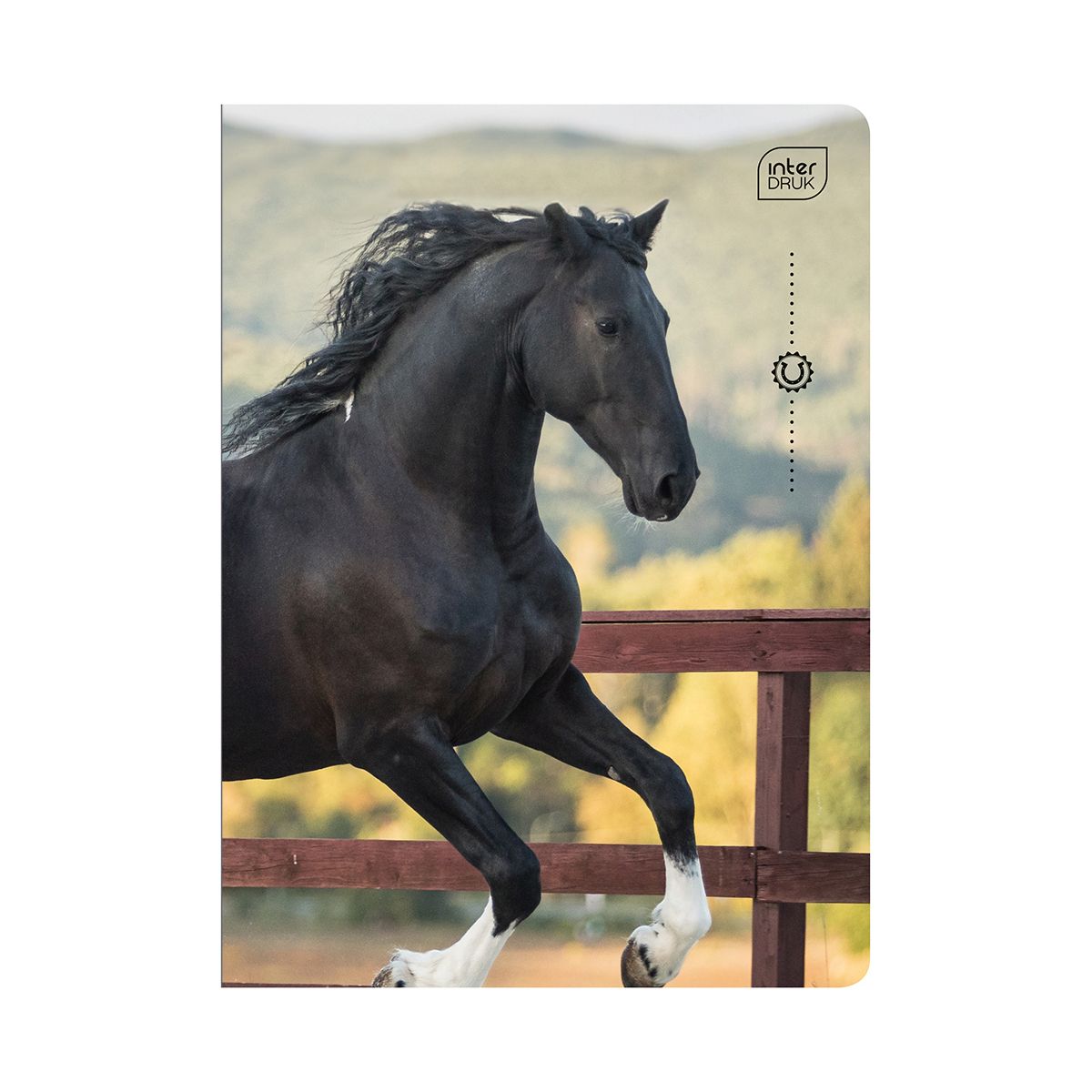 Zeszyt WILD HORSES A5 32k. 70g linia kolor Interdruk