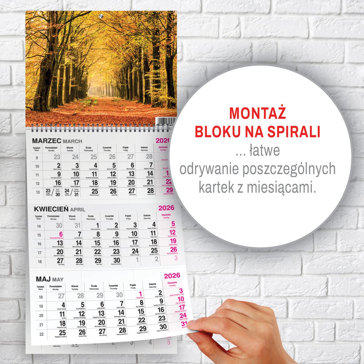 Kalendarz ścienny LAS A4 Press