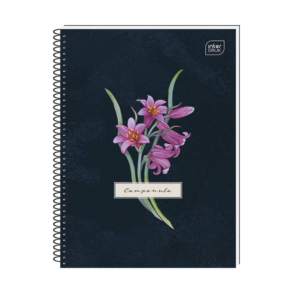 Kołozeszyt (kołonotatnik) Interdruk Hybrid Fiori A6 80k. 70g krata