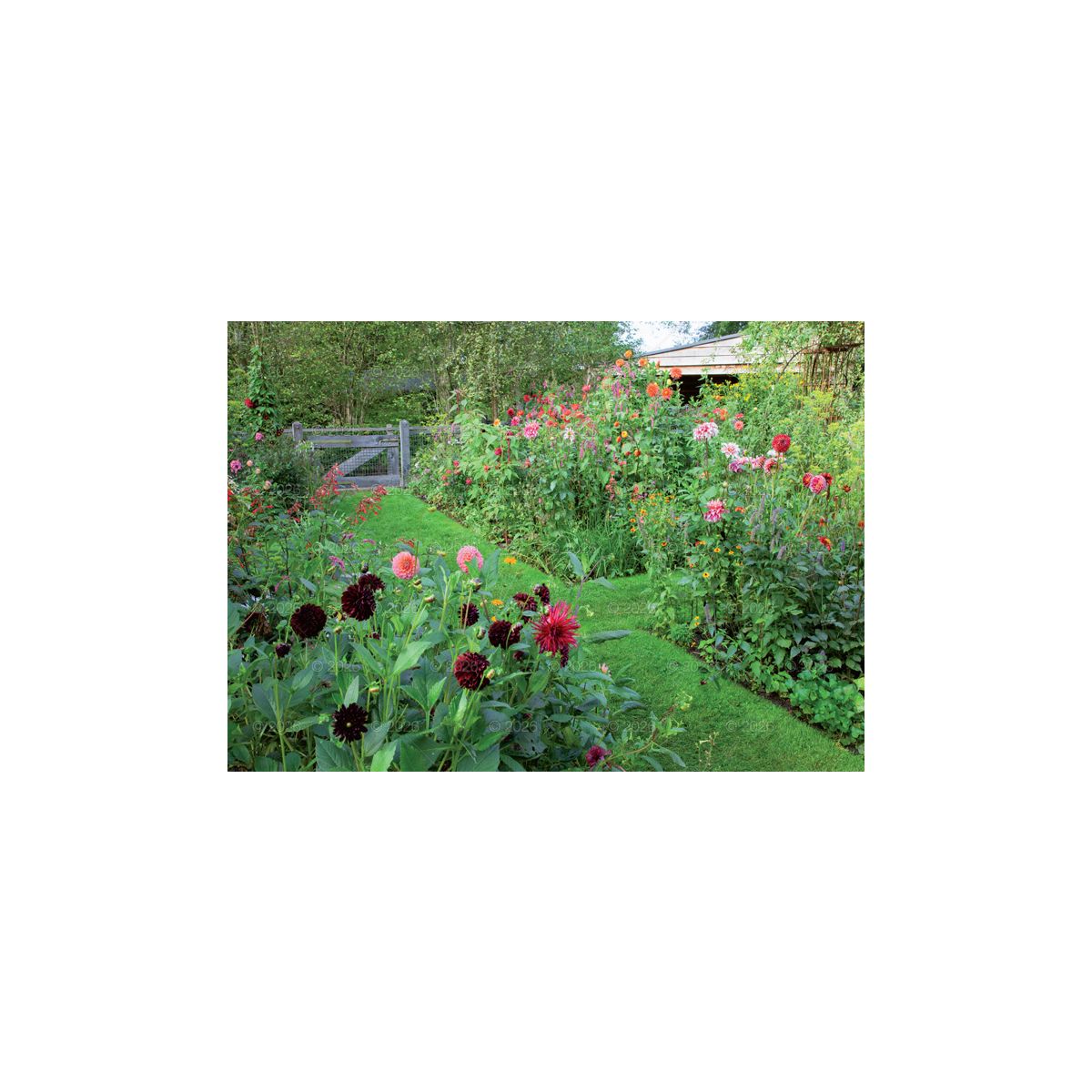 Kalendarz ścienny rodzinny 280mm x 200mm Lucrum (WL13)