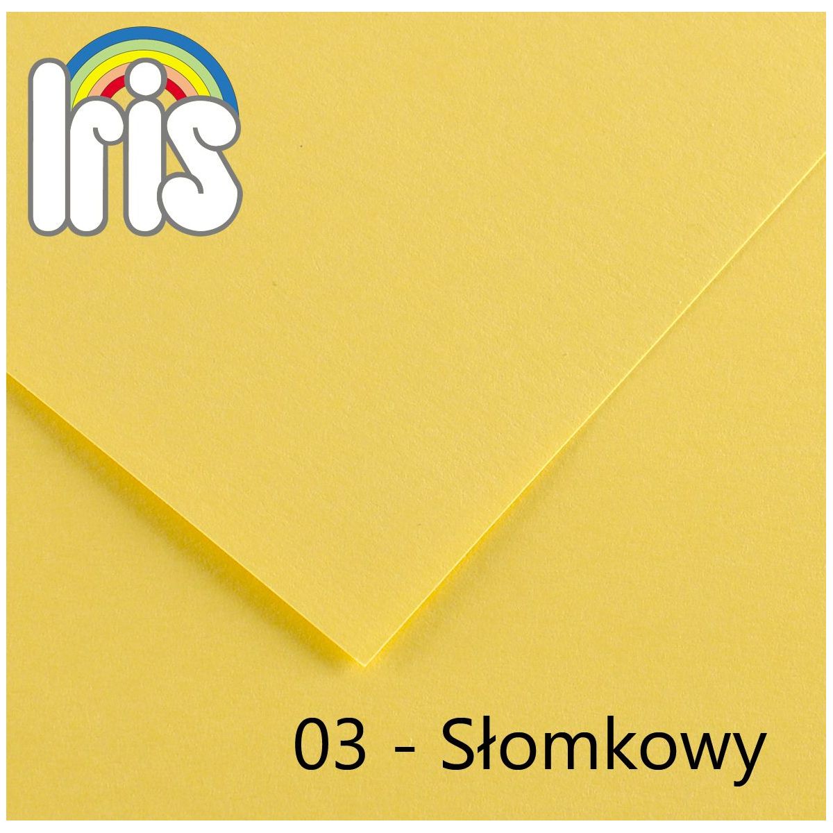 Brystol Canson Iris 03 A4 słomkowy 120g 100k (200040002)