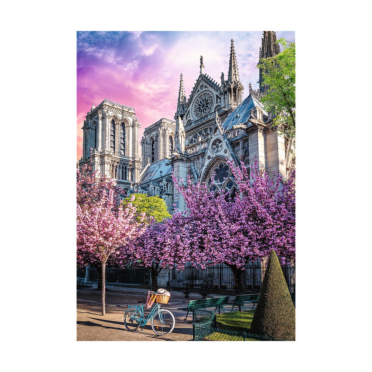 Puzzle Trefl Premium Plus Katedra Notre-Dame 1000 el. (10858)