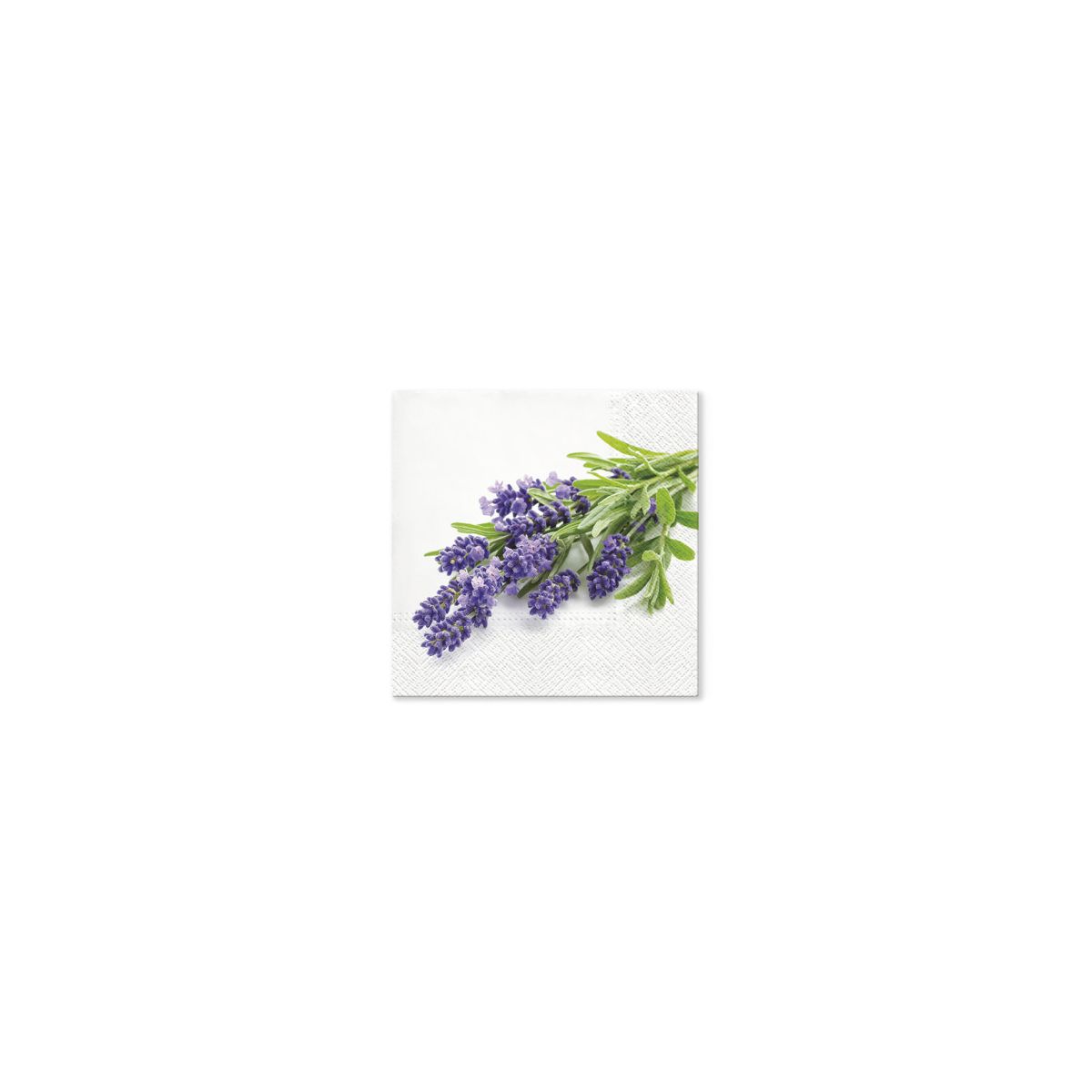 Serwetki Paw Lavender Bunch mix bibuła [mm:] 330x330 (TL702200)