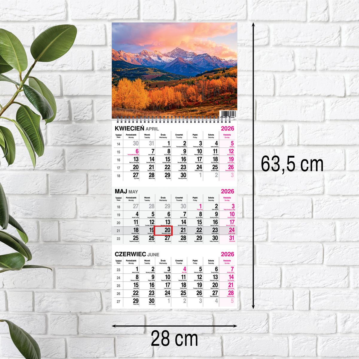 Kalendarz ścienny (401000) k:2915-377 GÓRY 310mm x 790mm Press