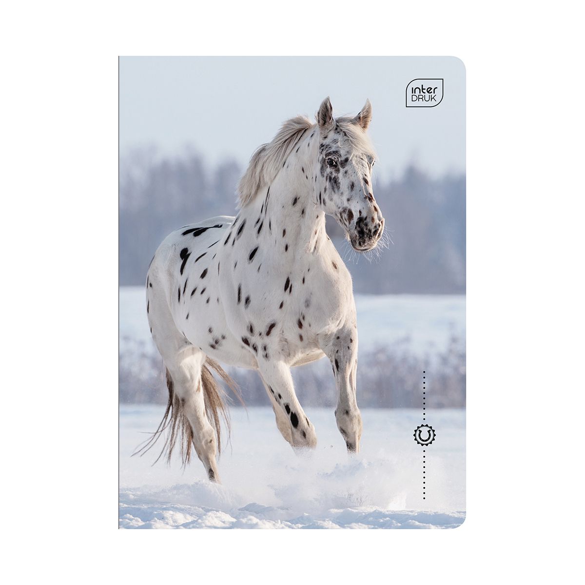 Zeszyt WILD HORSES A5 32k. 70g linia kolor Interdruk