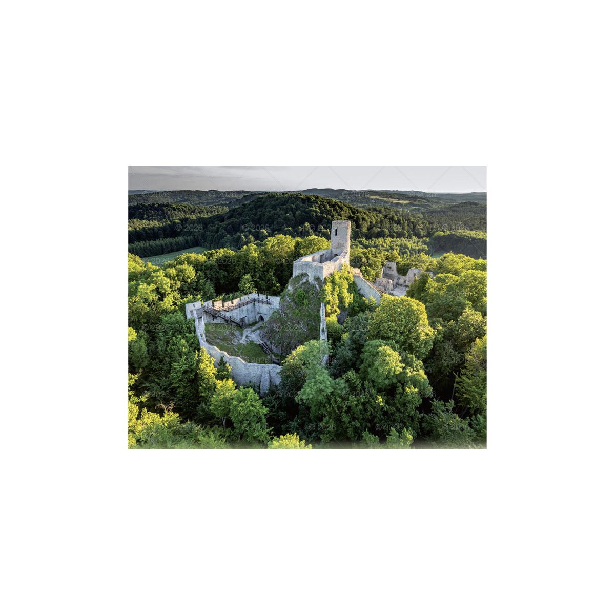 Kalendarz ścienny LASY POLSKIE 13-planszowe 2024 320mm x 470mm Lucrum (RW04)