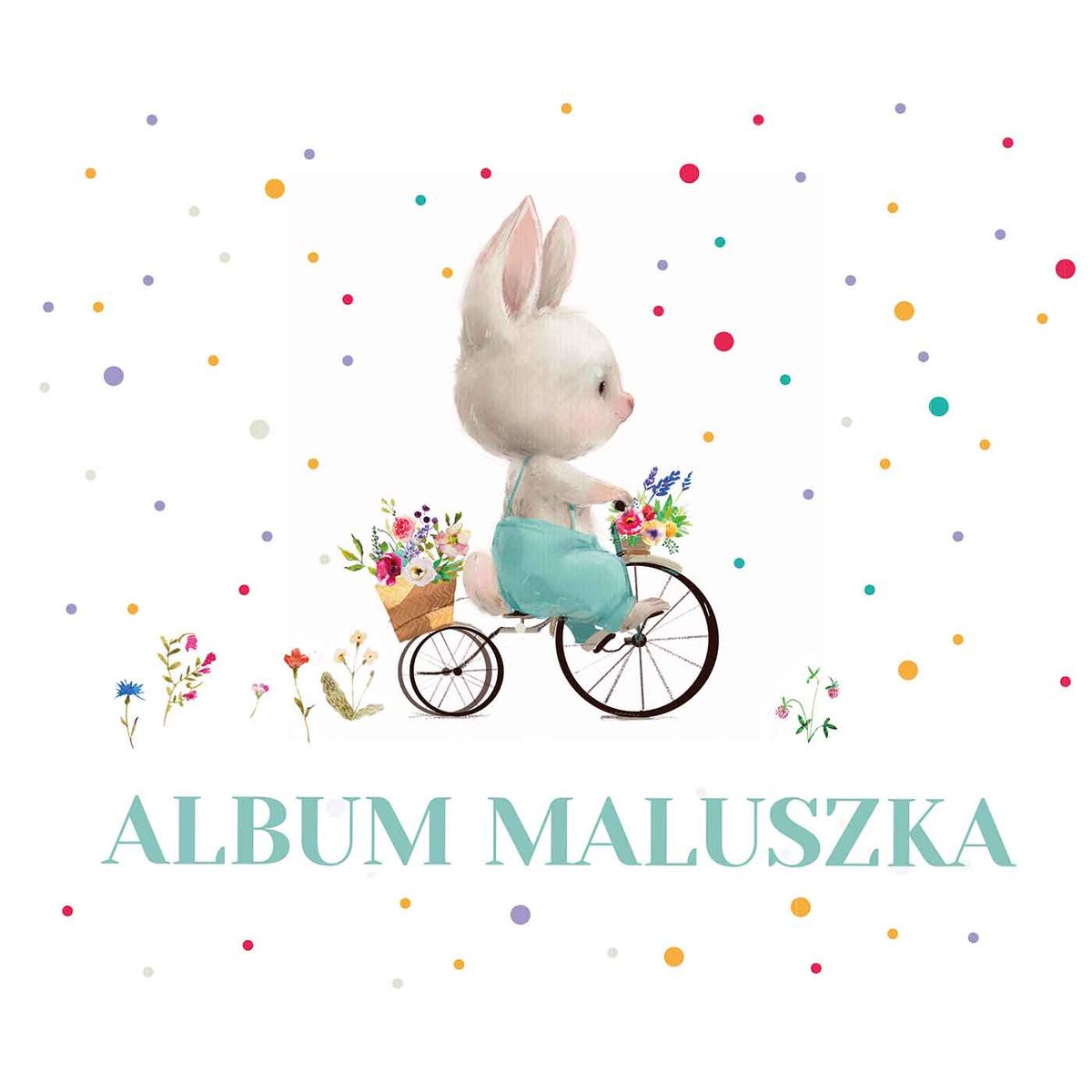 Książeczka edukacyjna Zielona Sowa Album maluszka