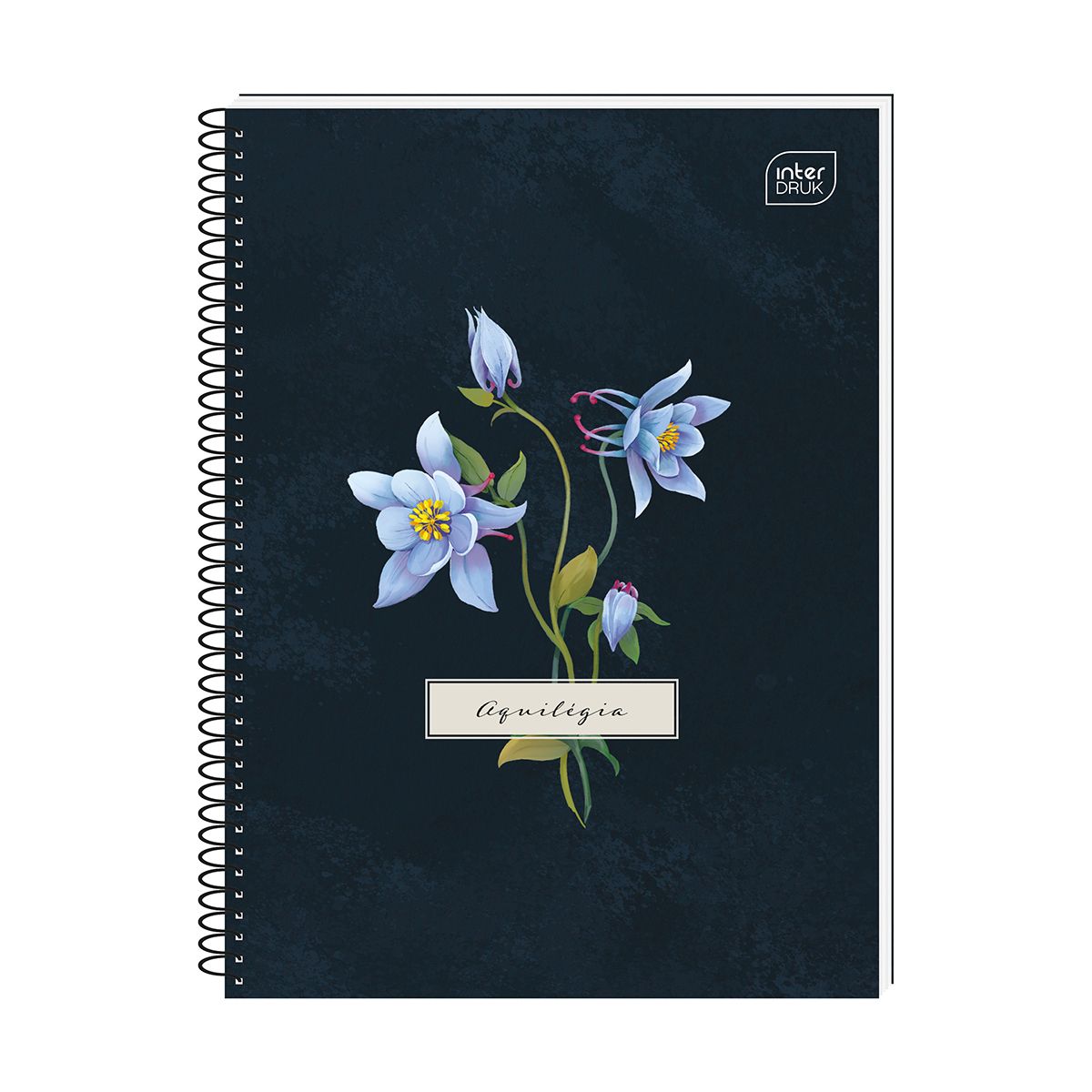 Kołozeszyt (kołonotatnik) Interdruk Hybrid Fiori A6 80k. 70g krata