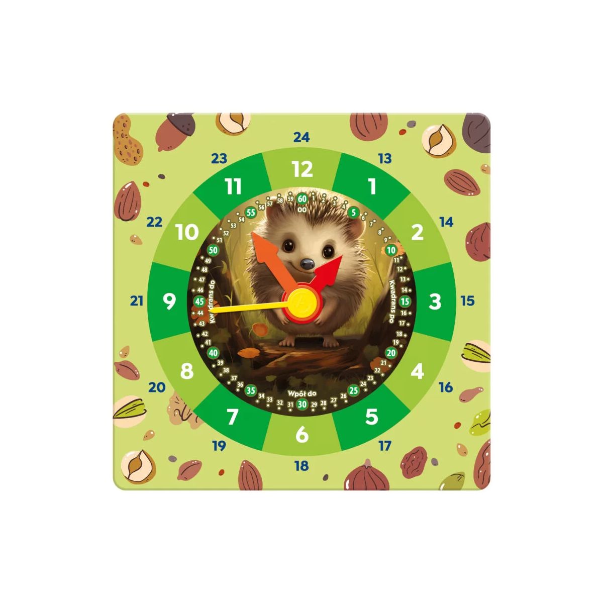 Zegarek jeż Alexander