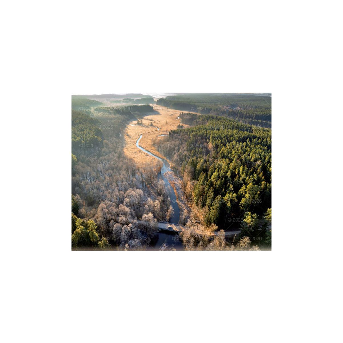 Kalendarz ścienny LASY POLSKIE 13-planszowe 2024 320mm x 470mm Lucrum (RW04)