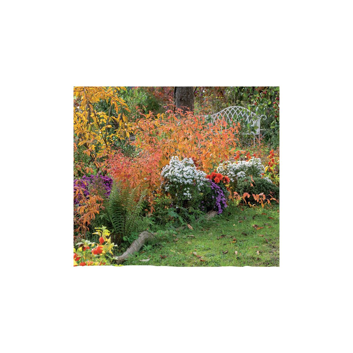 Kalendarz ścienny OGRODY RAJSKIE 13-planszowe 2024 320mm x 470mm Lucrum (RW11)