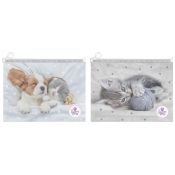 Teczka plastikowa The Sweet Pets 9839 Beniamin