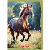 Zeszyt Herlitz Animals A5 16k. 70g gładki (400196854)