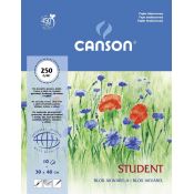 Blok artystyczny Canson Student A3 250g 10k [mm:] 300x400 (200005507)