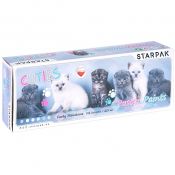 Farby plakatowe Starpak Enchantimals kolor: mix 20ml 12 kolor. (437220)