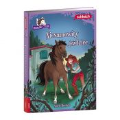 Książka dla dzieci Ameet HORSE CLUB. Niesamowity jeździec (CBH 8401)