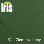 Brystol Canson Iris 31 zielony ciemny 150g 25k [mm:] 500x650 (200040470)
