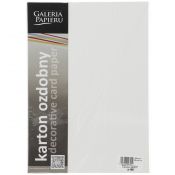 Papier ozdobny (wizytówkowy) pacific biały A4 biały 200g Galeria Papieru (204001)