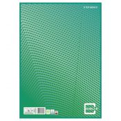 Papier kancelaryjny TOP-2000 COLOR 2.0 zielony A3 linia [mm:] 297x420 (400146133)