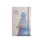 Notes Patio Disney 100 (60374PTR)